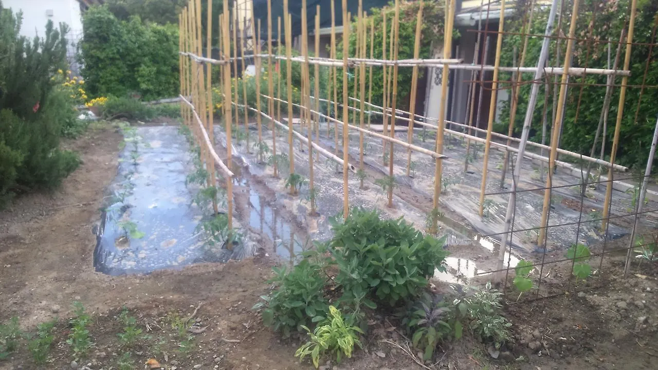 Apartamento La Residence da Caterina Vittorio Veneto